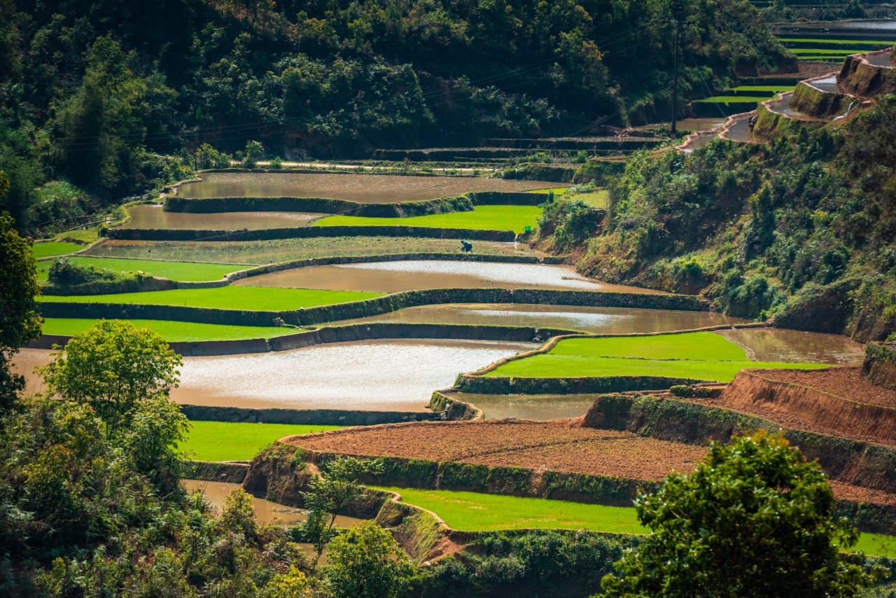 Việt Nam thu hút du khách nước ngoài trở lại