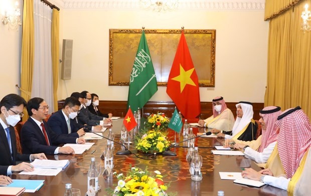 Bộ trưởng Ngoại giao Bùi Thanh Sơn hội đàm với Bộ trưởng Ngoại giao Saudi Arabia Faisal Bin Farhan Al Saud. Ảnh: Văn Điệp/TTXVN