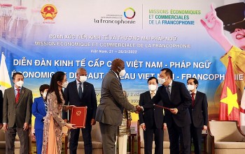 Tăng cường kết nối doanh nghiệp Việt Nam với doanh nghiệp trong cộng đồng Pháp ngữ