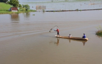 Nước sông Mekong dâng cao giữa mùa khô