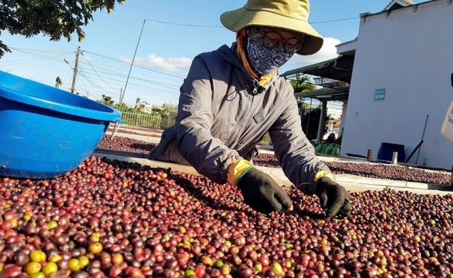 Kết nối giao thương giữa doanh nghiệp Việt Nam với các nhà nhập khẩu đồ uống Trung Quốc