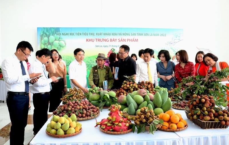 Đông đảo đại biểu tham dự và tham quan các gian hàng trưng bày sản phẩm nông sản tại hội nghị. Ảnh: Cổng TTĐT tỉnh Sơn La.