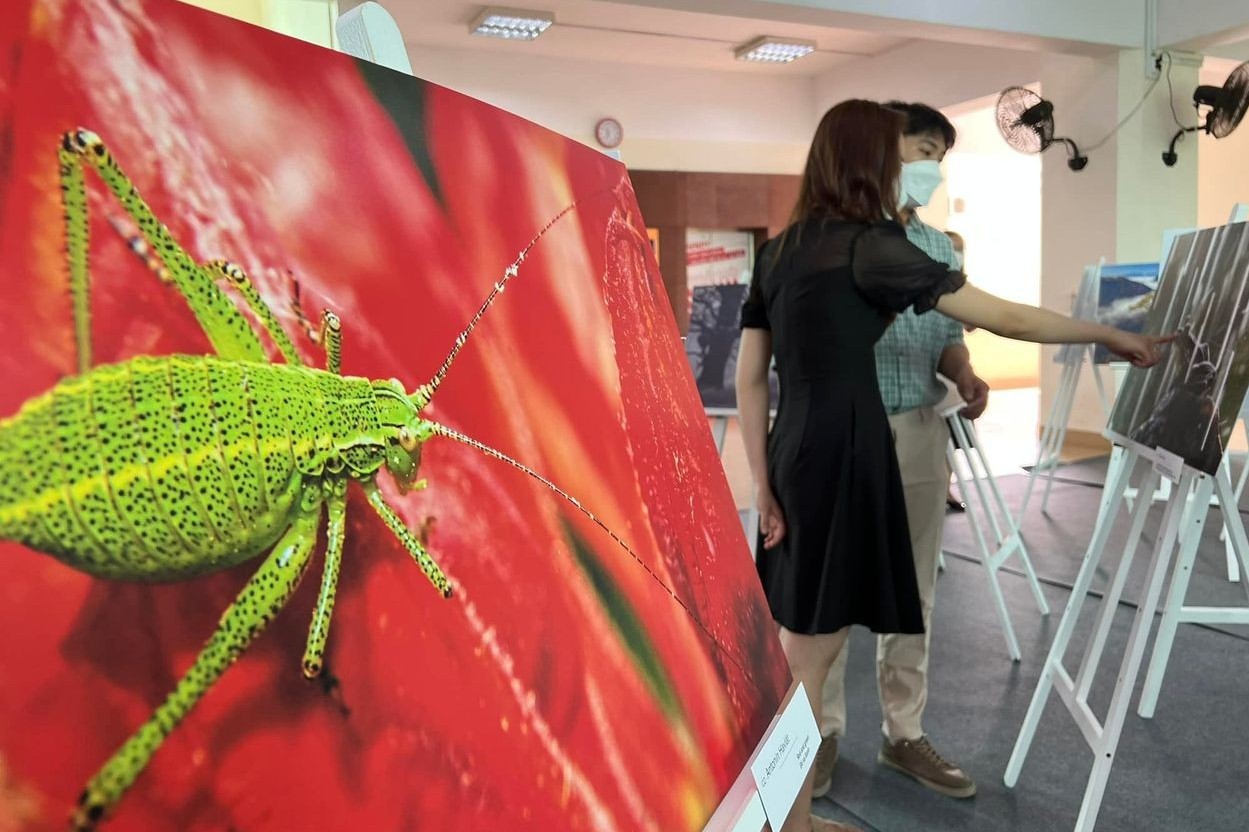 Triển lãm ảnh "Kho báu thiên nhiên của nhóm Visegrad" tại TP.HCM