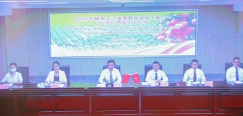 Thương nhân nước ngoài đăng ký thu mua vải thiều Bắc Giang