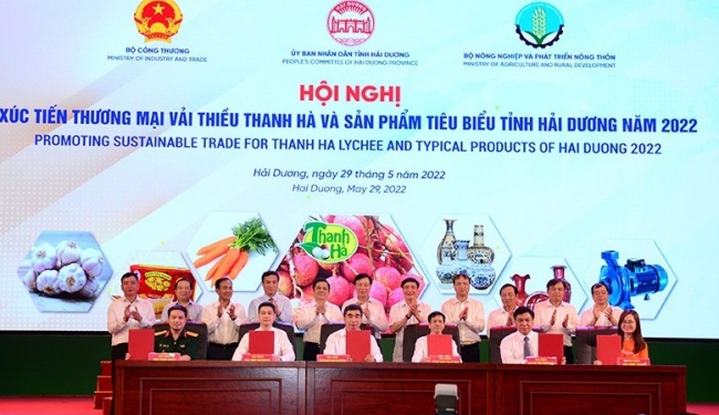 Vải thiều Hải Dương cần 'số hóa' để ra thế giới