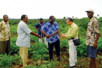 Việt Nam sẵn sàng chuyển giao kỹ thuật trồng lúa cho các nước châu Phi