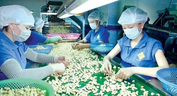 Doanh nghiệp Việt được trả lại quyền sở hữu toàn bộ 100 container hạt điều xuất khẩu