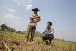 Nông dân Campuchia lao đao vì biến đổi khí hậu