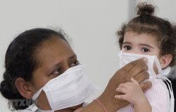 WHO cảnh báo thế giới về các đại dịch cúm mới 'chắc chắn xảy ra'