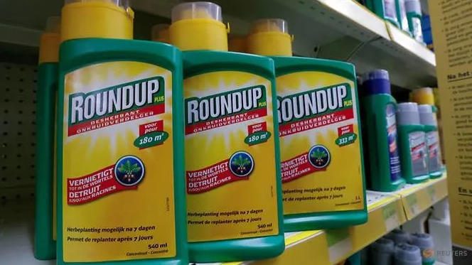 Monsanto lại thua kiện, phải bồi thường 81 triệu USD