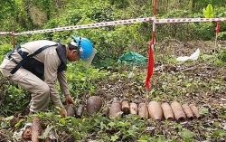 Việt Nam muốn hồi sinh 50.000 ha đất chết mỗi năm