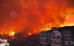 Hàng chục người bị thương trong thảm họa cháy rừng ở Hàn Quốc