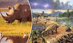 Các nhà khoa học cảnh báo về “cơn lốc” tuyệt chủng trên Trái đất