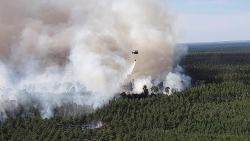 Tây Ban Nha, Pháp chật vật chiến đấu với cháy rừng trong cái nóng kỷ lục
