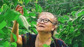 Cụ bà viết thư, tặng trứng gà tự tay nuôi cảm ơn các cán bộ đang hết mình chống dịch