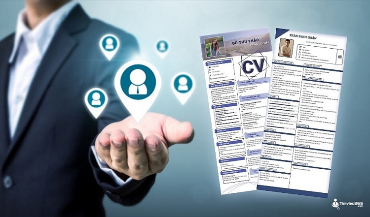 Bật mí hệ thống mẫu CV xin việc, mẫu CV tiếng Việt tại timviec365.com