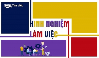 Cách viết kinh nghiệm làm việc trong CV từ timviec365.vn