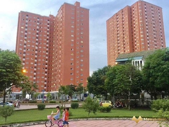 xu huong lua chon mua chung cu sau dich