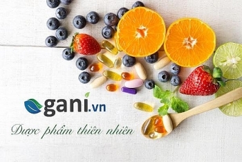 Bạn đã biết về đánh giá trang web Gani.vn chưa?