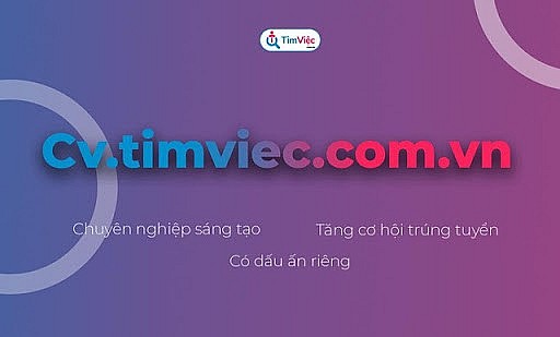 Vì sao hàng nghìn ứng viên tìm việc và tạo CV tại website Timviec.com.vn?
