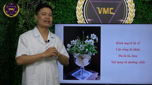 Trung tâm VMC Việt Nam đào tạo khóa học trị liệu xoa bóp giảm đau khớp