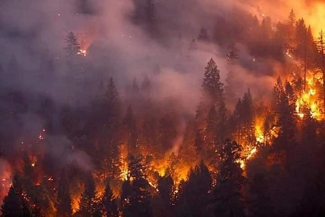 Dự án phòng cháy chữa cháy rừng  Phòng tránh rủi ro cho mùa khô