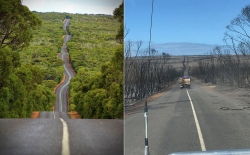 Xót xa với hình ảnh trước và sau thảm hoạ cháy rừng ở Australia