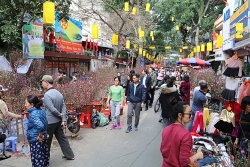Hà Nội cấm nhiều tuyến đường để tổ chức Chợ hoa Xuân 2020