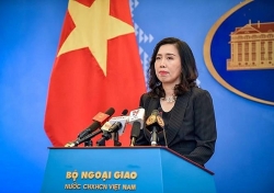 Bộ Ngoại giao: Người nước ngoài tại Việt Nam có thể gia hạn thị thực