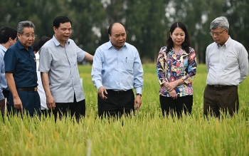 Cam kết và tầm nhìn thế kỷ của Chính phủ với 20 triệu người dân ĐBSCL Cam kết và tầm nhìn thế kỷ của Chính phủ với 20 triệu người dân ĐBSCL