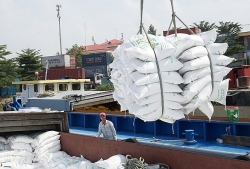 Thanh tra Chính phủ sẽ thanh tra hoạt động xuất khẩu gạo từ đầu năm 2020