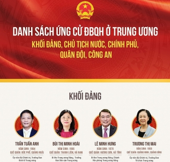 Danh sách ứng cử ĐBQH ở trung ương khối Đảng, Chủ tịch nước, Chính phủ, công an, quân đội