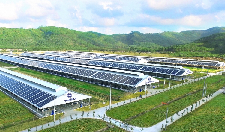 Hệ thống trang trại Vinamilk Green Farm (tại Quảng Ngãi, Tây Ninh, Thanh Hóa) sẽ được công ty đầu tư phát triển trong thời gian tới