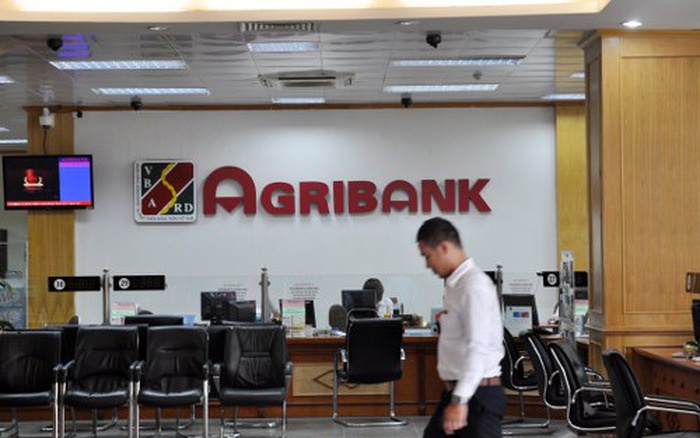 agribank co phan hoa cham 56 cong ty con thua lo