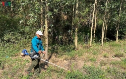 Hạn hán gay gắt ở Bình Thuận, nguy cơ cháy rừng cao ở Đắk Lắk