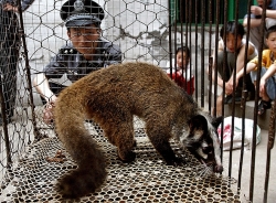 Trung Quốc: Nông dân từ bỏ nuôi động vật hoang dã sẽ được nhận tiền