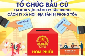 Infographic: Tổ chức bầu cử tại khu vực cách ly tập trung, cách ly xã hội, địa bàn bị phong tỏa