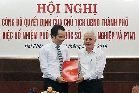 6 tinh thanh dieu dong bo nhiem nhan su