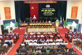 Bầu trực tiếp Bí thư Huyện ủy tại Yên Bái, Long An và Phú Yên