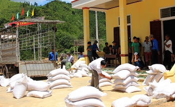Chính phủ xuất cấp gần 820 tấn gạo hỗ trợ nhân dân tỉnh Quảng Trị trong thời gian giáp hạt năm 2021