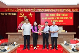 tan pho bi thu tinh uy vinh phuc le duy thanh la ai