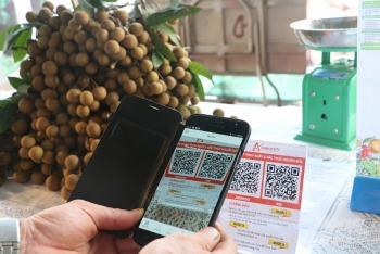 Việt Nam có đầy đủ cơ sở vật chất, hạ tầng để chuyển đổi số trong nông nghiệp Việt Nam có đầy đủ cơ sở vật chất, hạ tầng để chuyển đổi số trong nông nghiệp