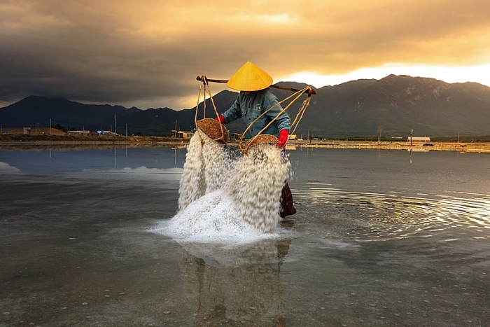 thien duong du lich trai nghiem chau a goi ten ninh thuan