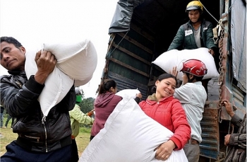 Cấp hơn 4.000 tấn gạo hỗ trợ người dân tại 3 tỉnh