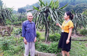 Cách mạng Tháng Tám trong ký ức của người lính già