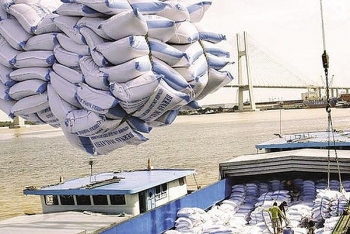 Gạo xuất khẩu tăng giá, lập đỉnh mới sau gần 10 năm