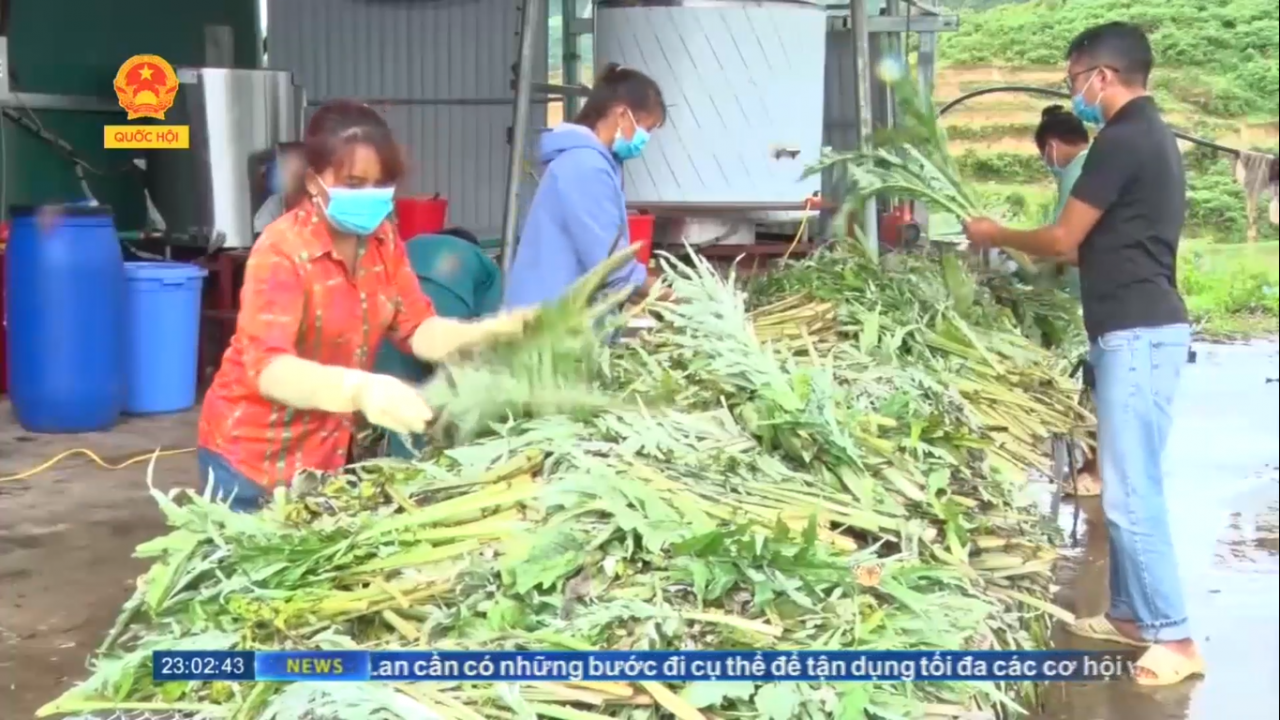 Tạo sinh kế cho đồng bào vùng dân tộc thiểu số