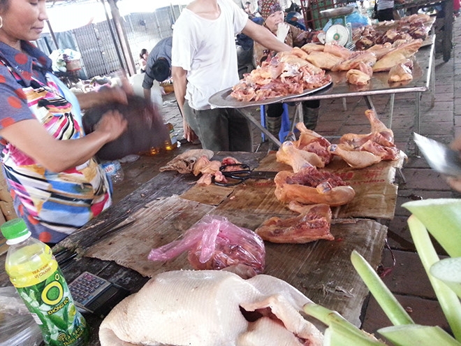 gia thit ga trong nuoc giam do ga nhap khau