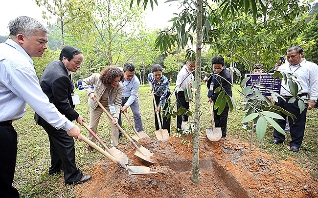 Các đại biểu quốc tế tham gia trồng cây trong chương trình “Du xuân hữu nghị” năm 2019 ở tỉnh Phú Thọ