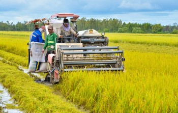 Bộ trưởng Lê Minh Hoan: "Không thể để 18,5 triệu hộ nông dân mạnh ai nấy làm"